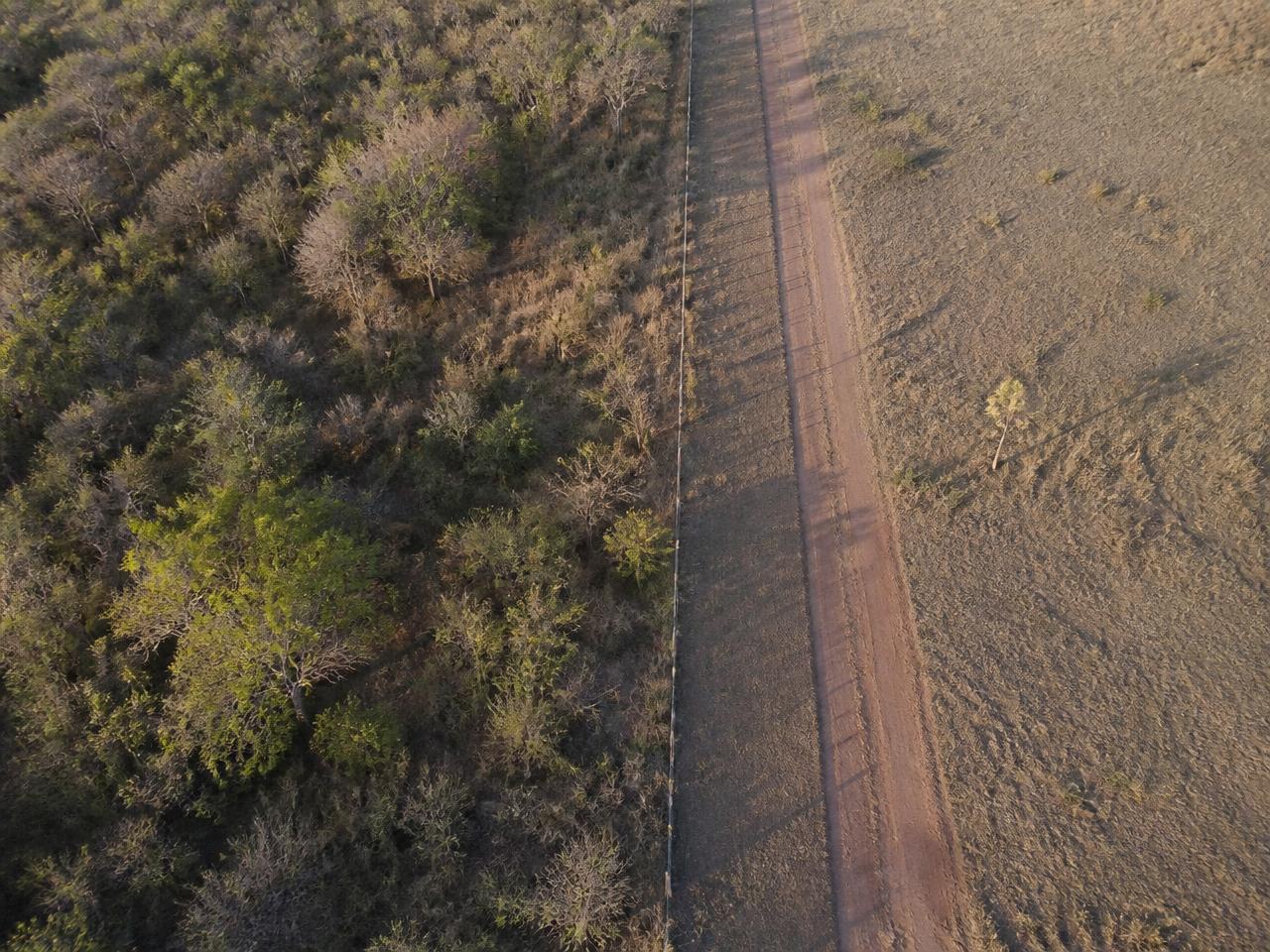 Vista aérea da divisa de um imóvel rural entre pasto e mata nativa